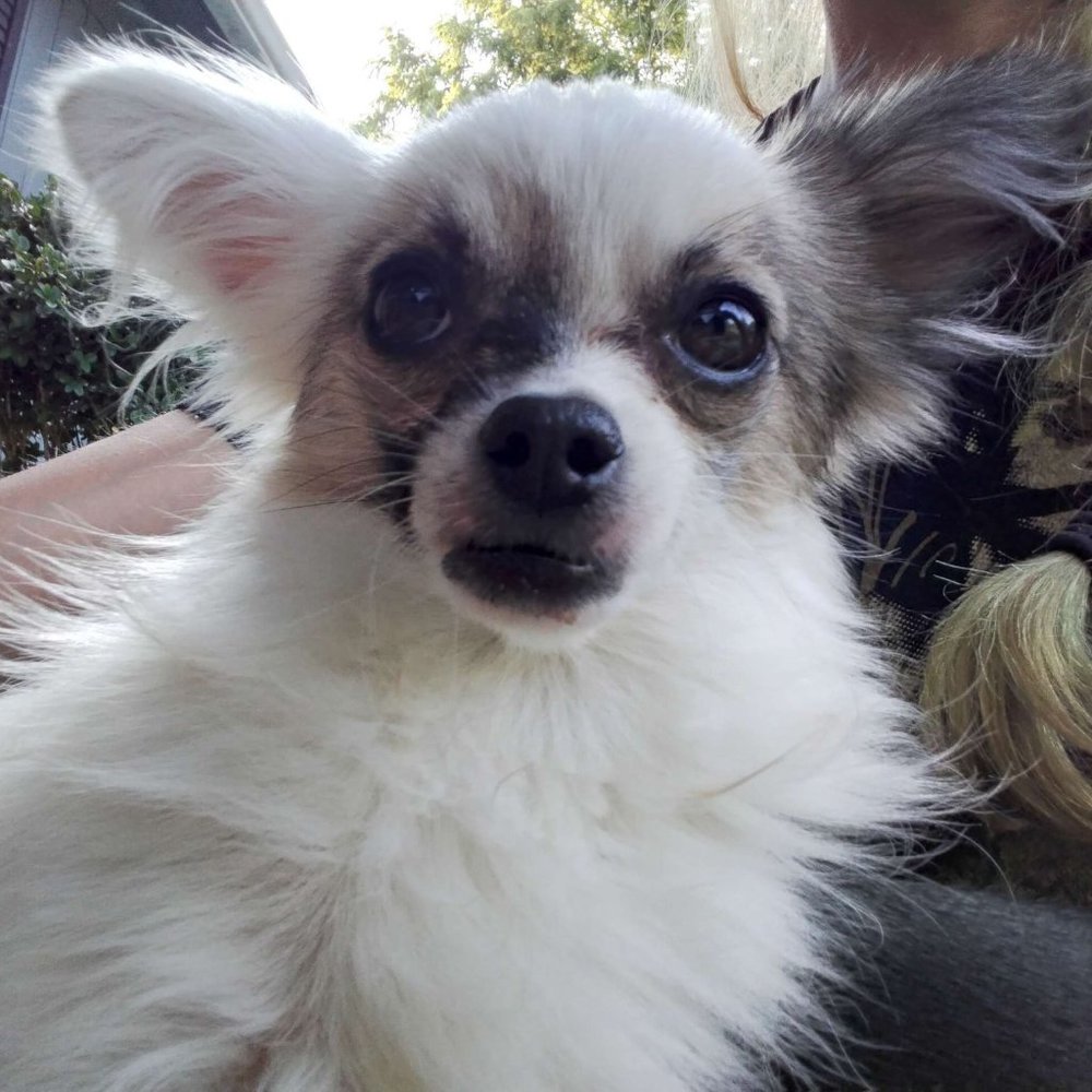 Meet your Posher, ~A